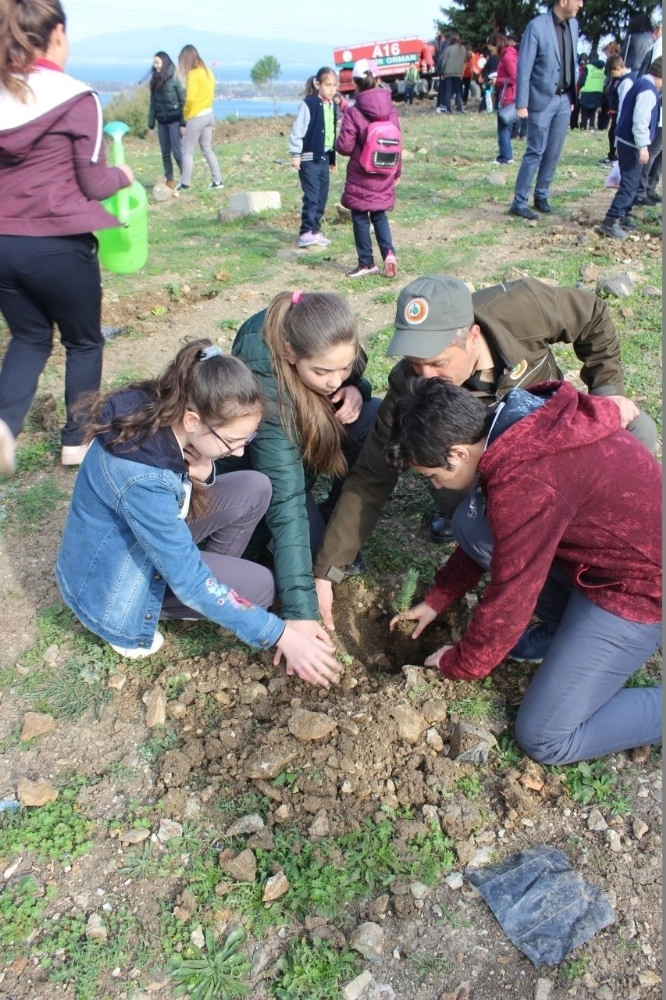 Öğrenciler, Dünya Ormancılık Gününde Fidanları Toprakla Buluşturdu