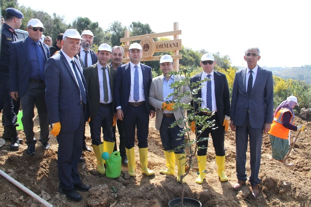 Alanyada “Adalet Ormanı” İçin İlk Fidanlar Dikildi