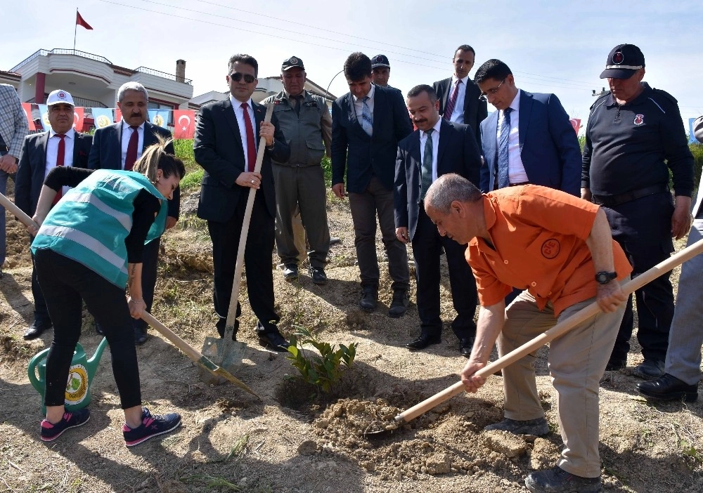 Hükümlülerden Adalet Ormanına 3 Bin Fidan