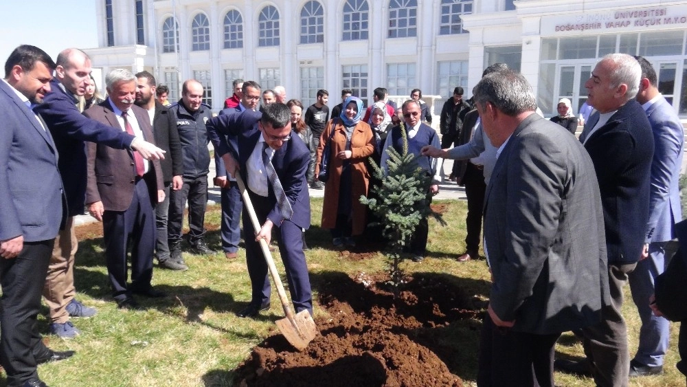 Mtü Vahap Küçük Myoda Binlerce Fidan Toprakla Buluştu