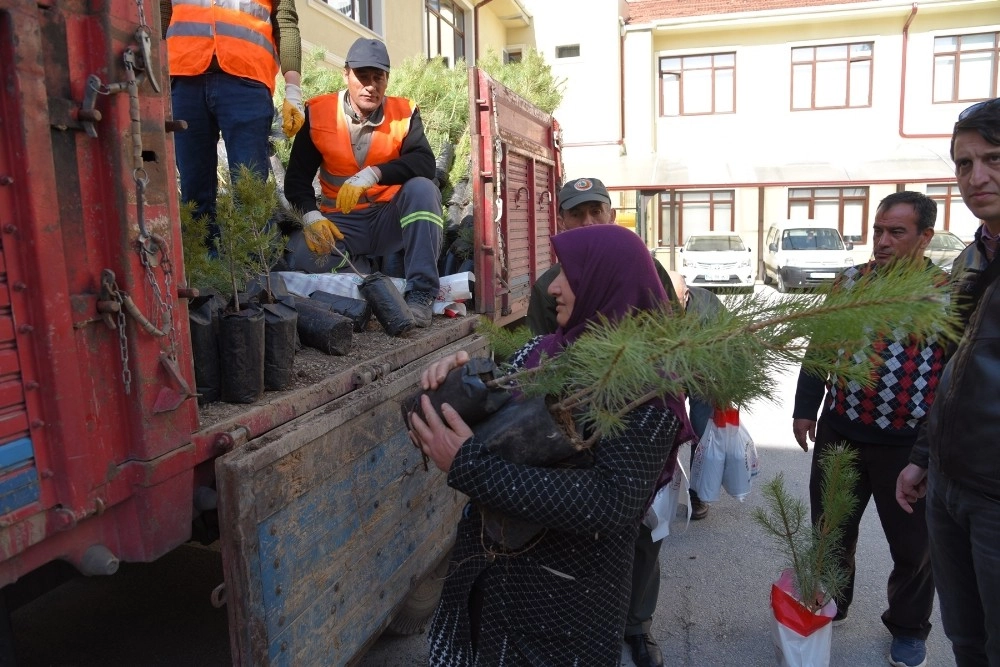 Ormancılık Gününde Halka 5 Bin Fidan Dağıtıldı