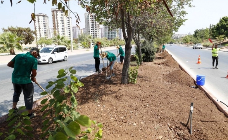 Mersin'de 5 büyük ilçede refüj düzenlemesi yapılıyor