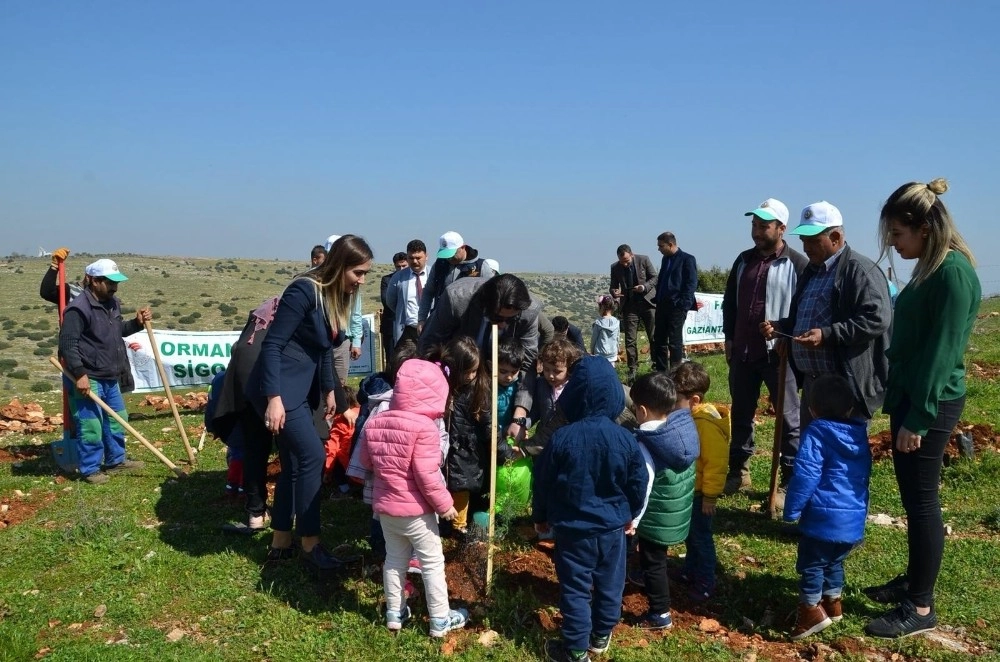 Nizipte Adalet Ormanı Oluşturuldu