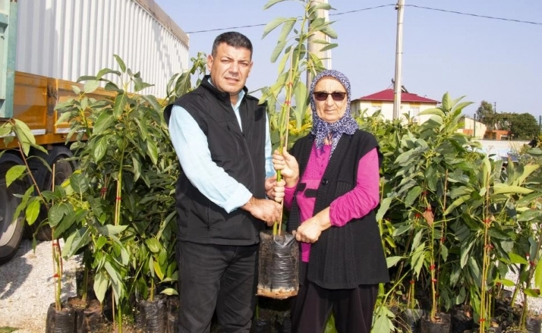 Mersin'de avokado fidanı dağıtımının ikinci etabı tamamlandı