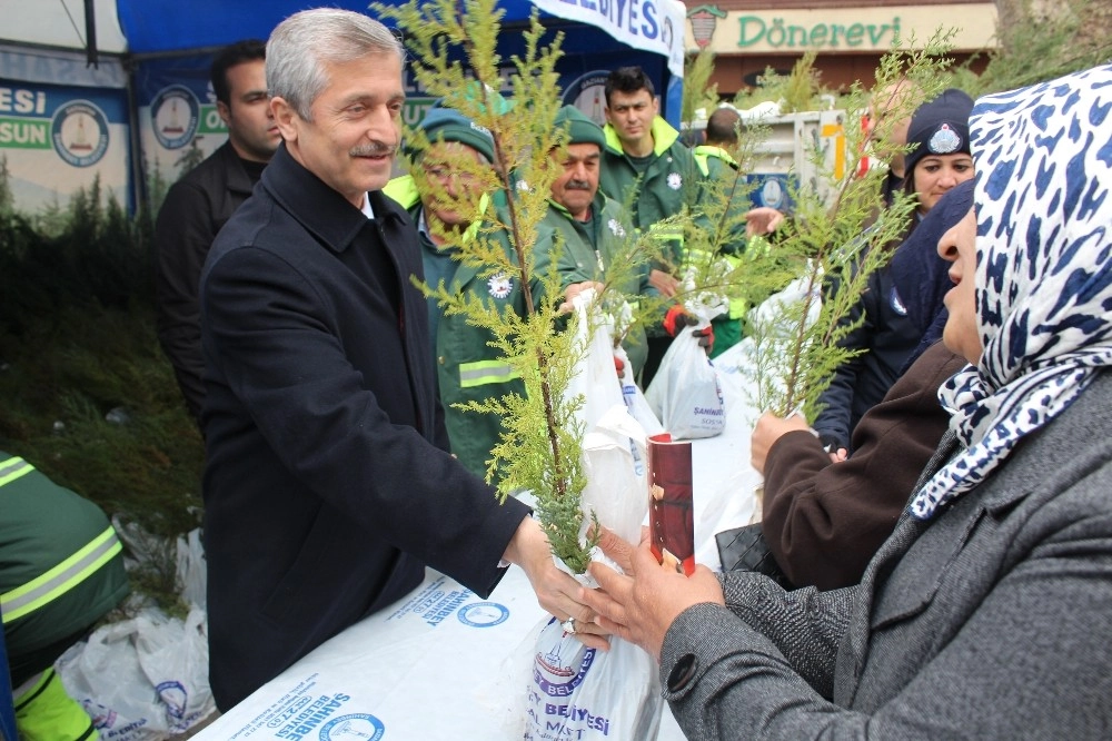 Şahinbeyde 150 Bin Çam Fidanı Dağıtıldı