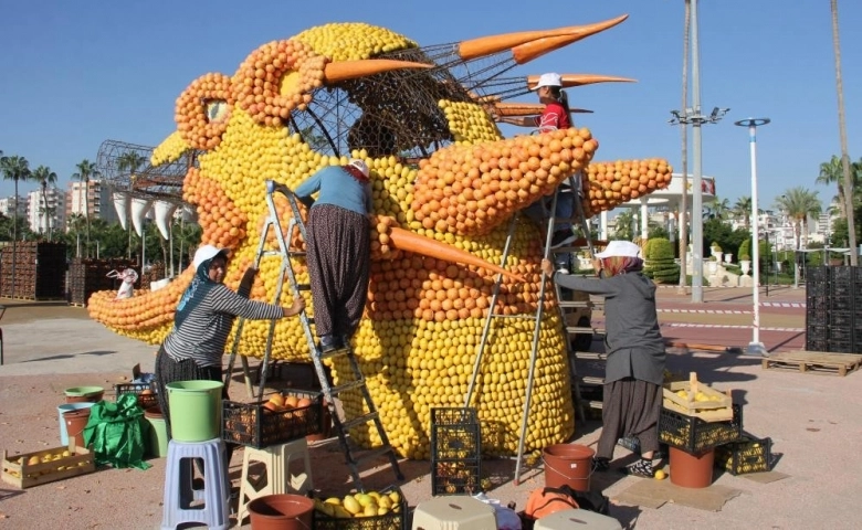 Mersin, Narenciye Festivali'ne hazırlanıyor