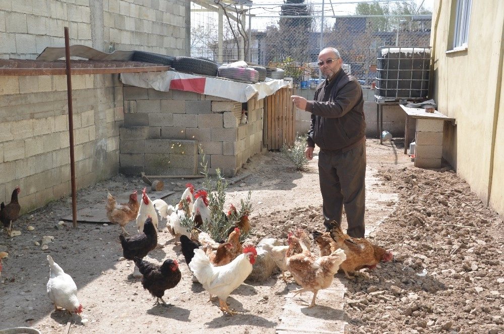 Sanayi Esnafından Organik Üretim