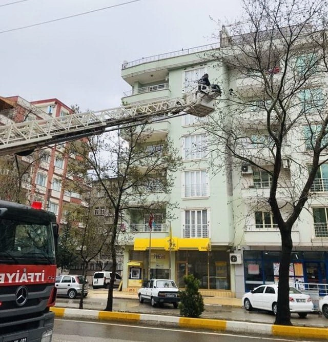 Ağaçta Mahsur Kalan Kuşu İtfaiye Ekipleri Kurtardı