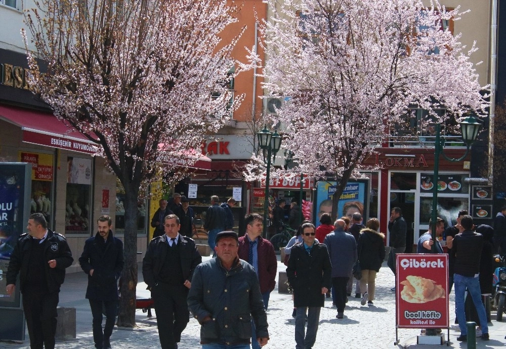 Eskişehirde Bahar Etkisini Hissettirmeye Başladı