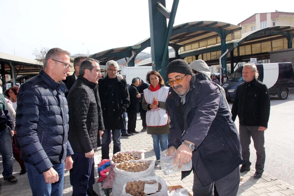 Kırsalda, Merkezde Tellioğlu Heryerde