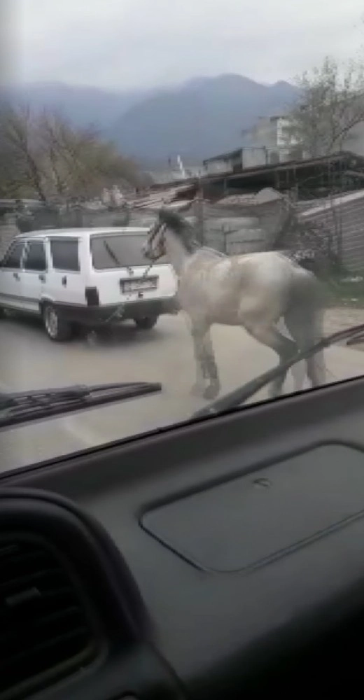 Vicdansız Sürücü Atını Aracının Arkasına Bağlayıp Ana Yolda Koşturdu