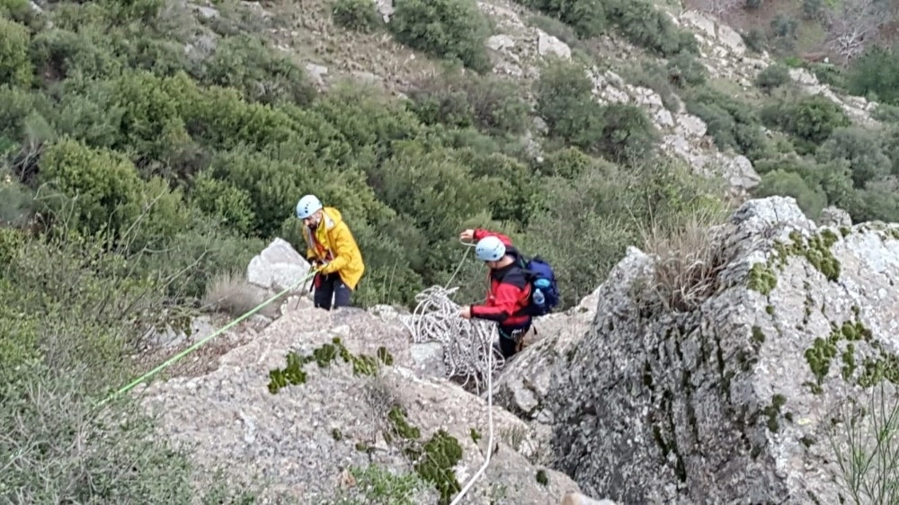 Kayalıkta Mahsur Kalan 13 Keçi Bir Haftadır Kurtarılmayı Bekliyor