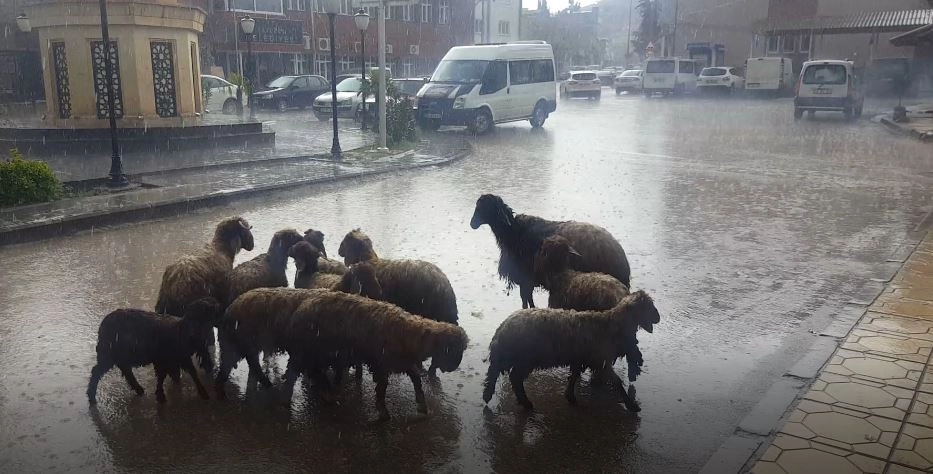 Yavuzelini Sağanak Vurdu