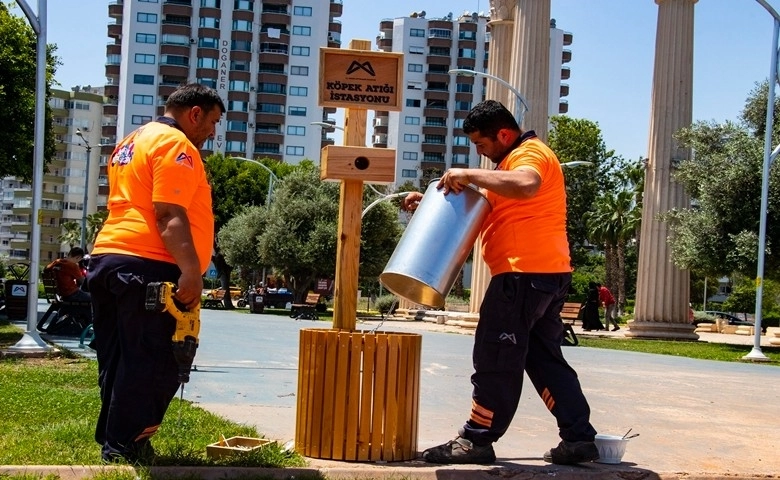 Mersin'de köpek atık istasyonu sayısı 2 kat artırıldı