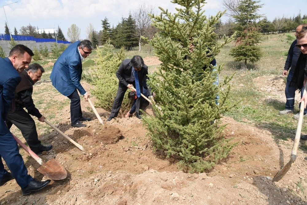 Sağlık Merkezi Bahçesine 205 Fidan Dikildi