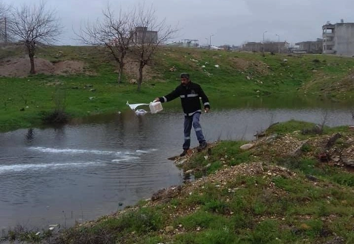 Adıyamanda Larva Mücadelesi Başladı