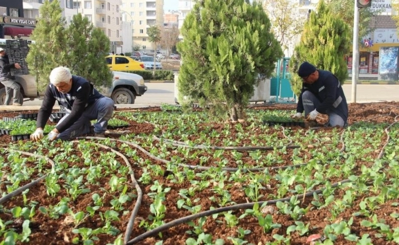 Kilis'te sokaklara kış bakımı