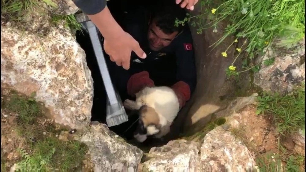 Kuyuda Mahsur Kalan Yavru Köpeği İtfaiyeciler Kurtardı