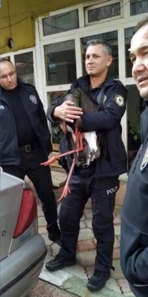 Polis Ekiplerinden Yaralı Leyleğe Şefkat Eli