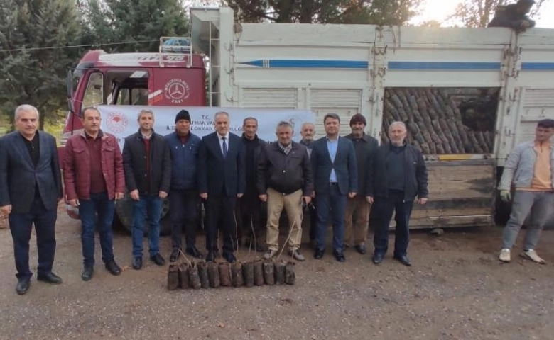 Batman’da 150 bin adet Antep fıstığı fidanı dağıtıldı