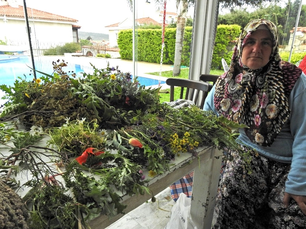 Alaçatı Ot Festivali Sona Erdi