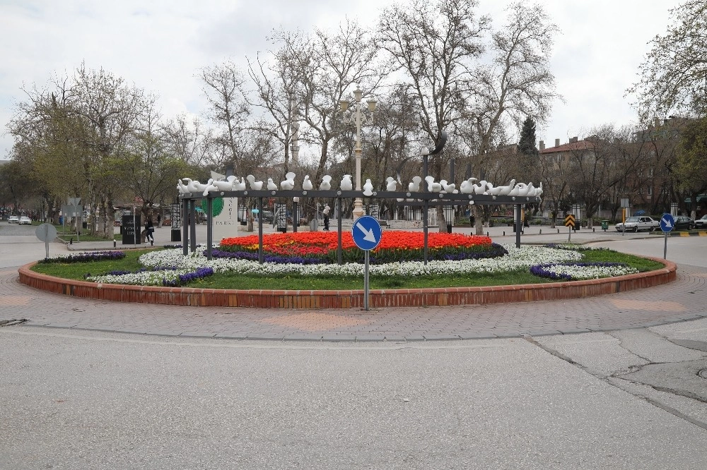 Gaziantep, Rengarenk Çiçeklerle Bezendi