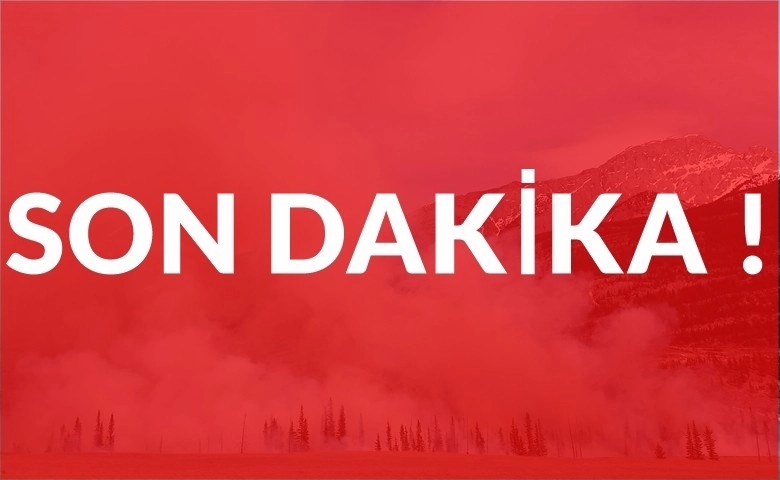 Son dakika orman yangını !