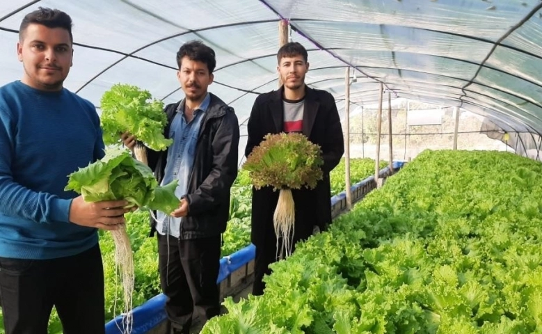 Osmaniye'de Üç genç kurdukları serada topraksız tarım yapıyor