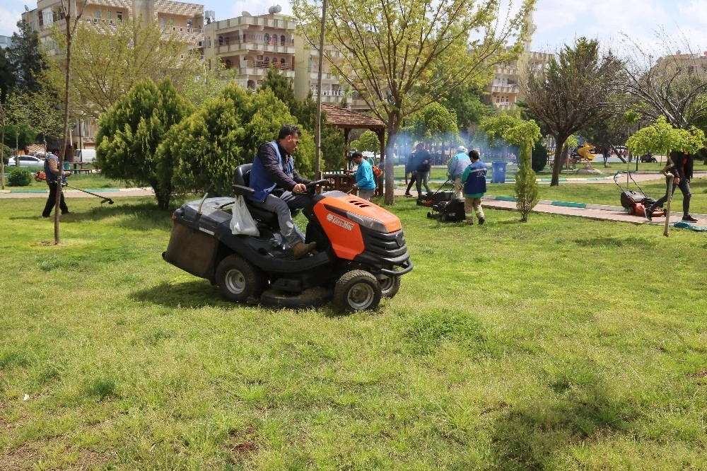 Şanlıurfada Yaprak Biti İle Mücadele