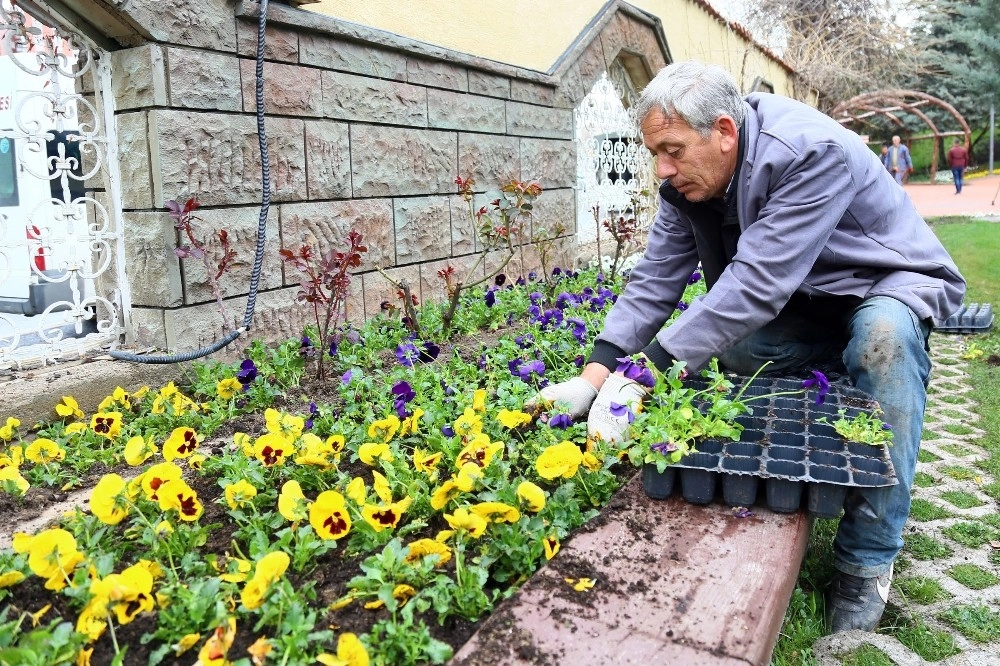 Atatürk Botanik Parkı Bahara Hazır