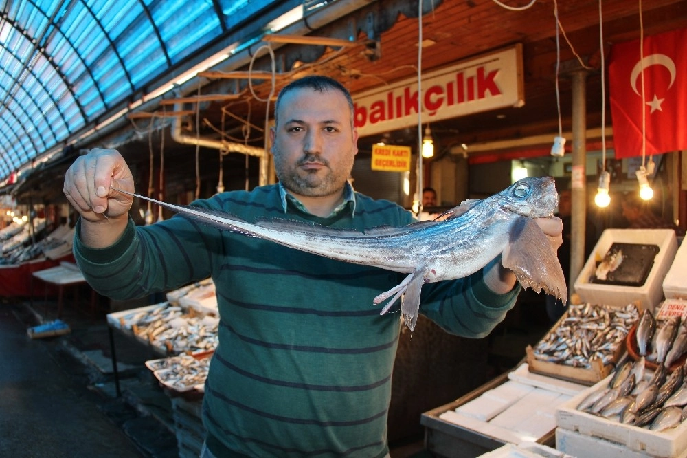 Mersinli Balıkçılar Okyanusta Yaşayan ‘Şeytan Balığı Yakaladı