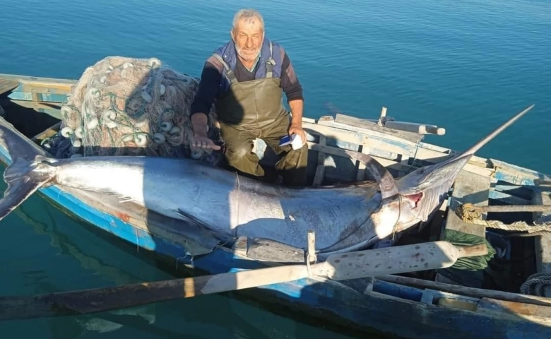 Adana'da Balıkçı ağlarına “Blue Marlin” balığı takıldı