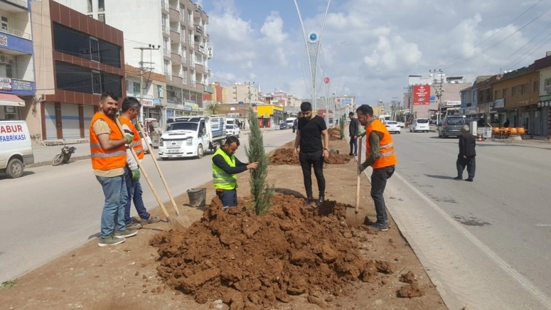 Silopide İpekyolu Refüj Çalışmaları Devam Ediyor