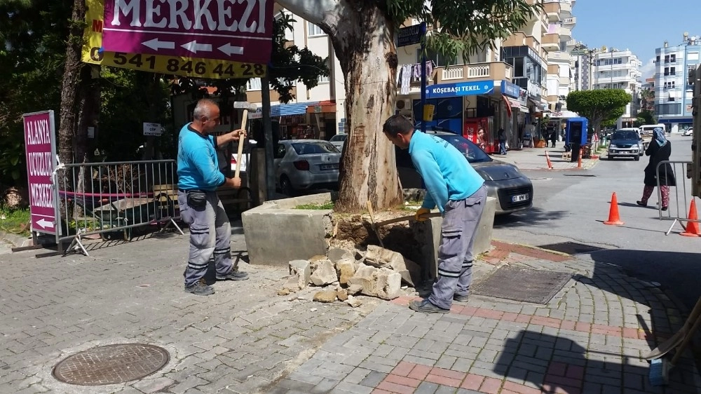 Alanya Belediyesinden Hizmet Atağı