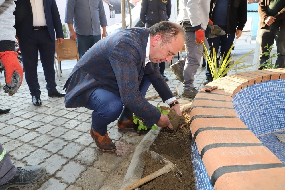 Başkan Akın, Hem Çiçek Ekti Hem De Vatandaşlarla Buluştu