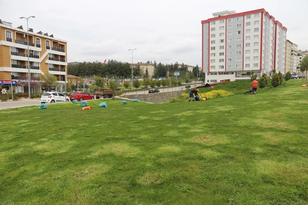 Kiliste Park Ve Bahçelere Özel Bakım