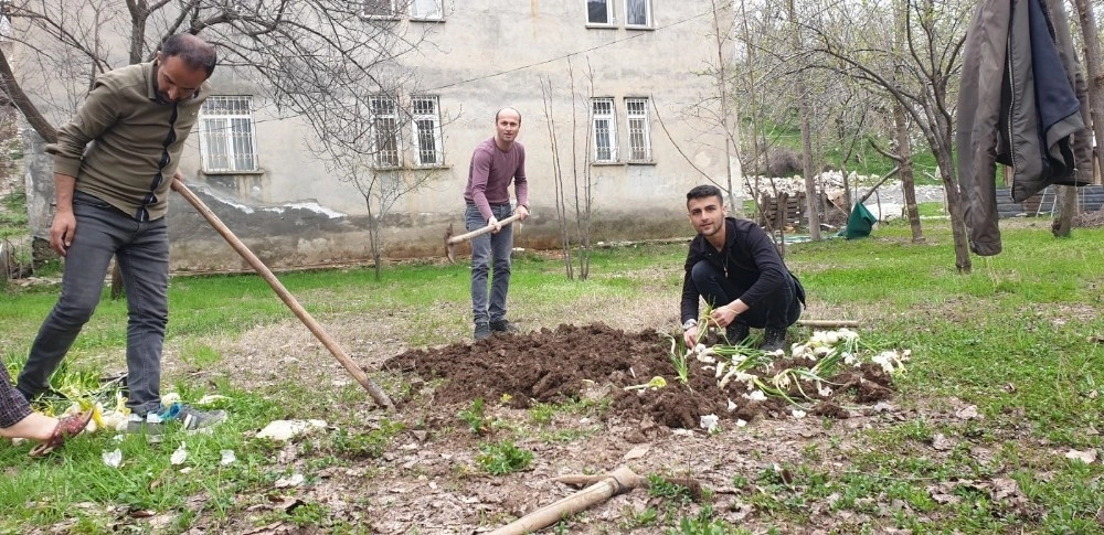 Çukurcada Tarlalar Ekilmeye Başlandı