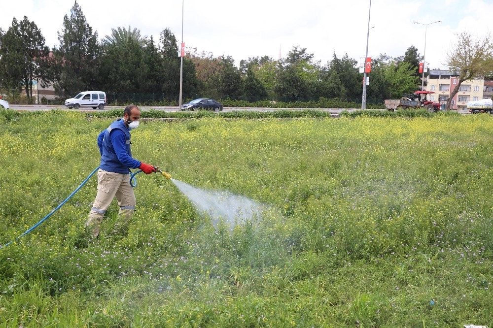 Haliliyede Larva İle Mücadele Çalışmaları Sürüyor