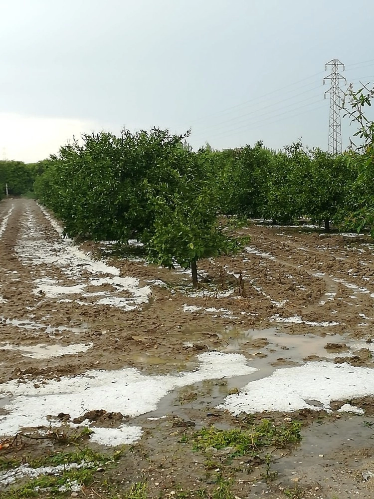 Barut: "çukurova, Afet Bölgesi İlan Edilsin"