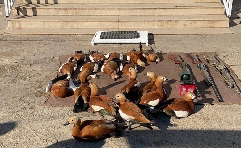 Son Dakika Kaçak Avcılara.....