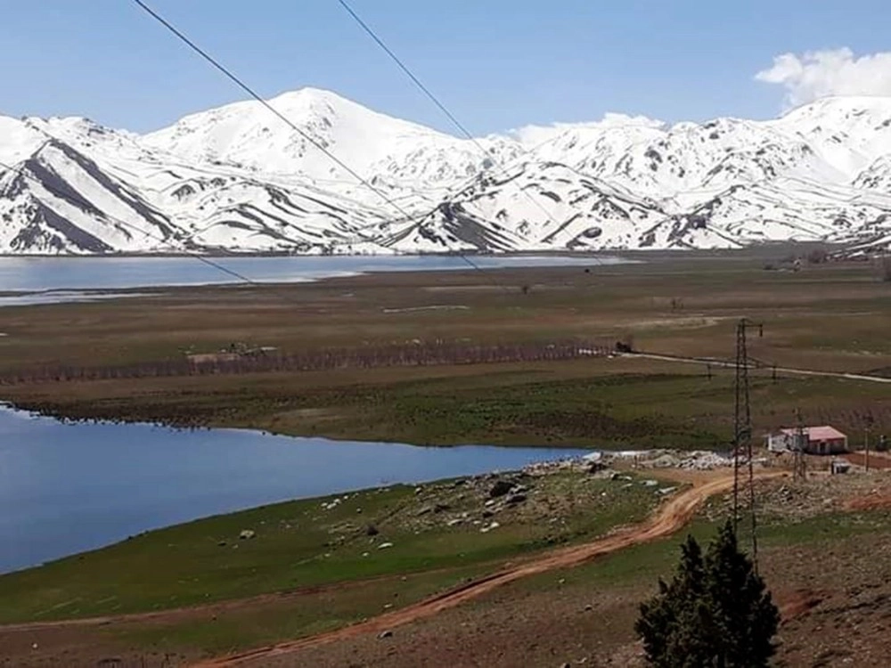 Girdev Gölünde Binlerce Balık Telef Oldu