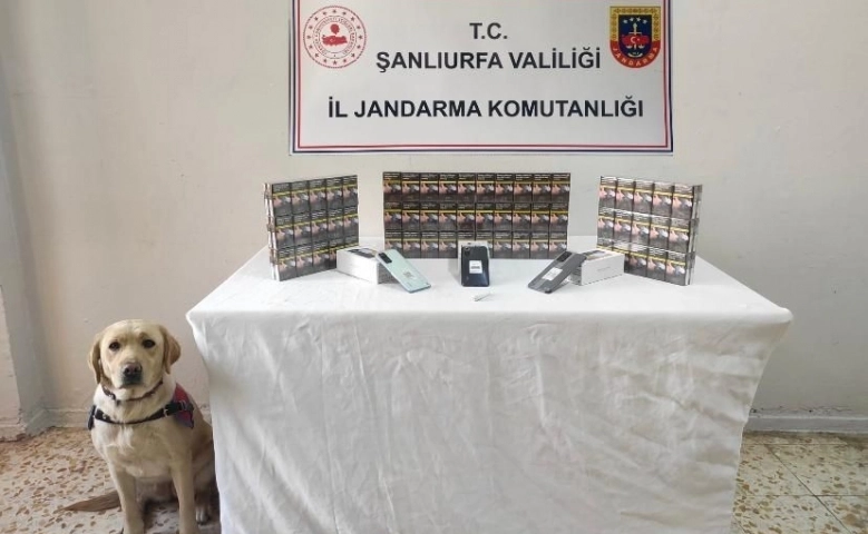 Şanlıurfa’da şok yol uygulaması