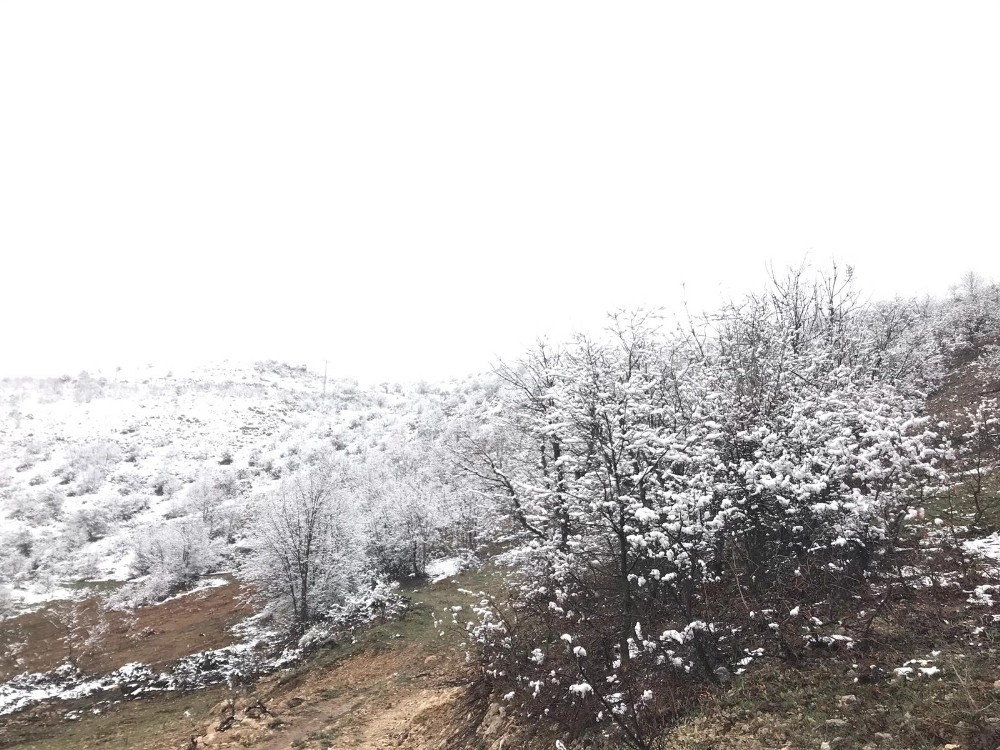 Akçadağda Kar Yağışı Etkili Oluyor