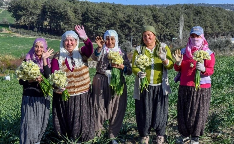 Tarsus'ta  Nergis Festivali düzenlenecek