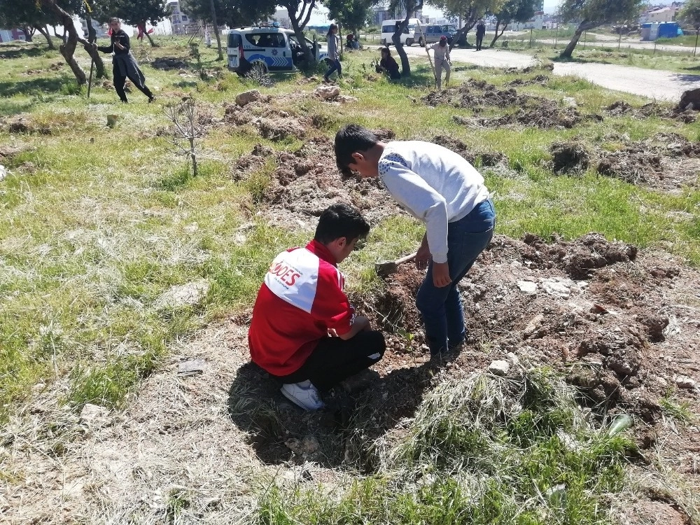 Mersin Çocuk Hakları Komitesi Çocuklar 650 Fidan Dikti