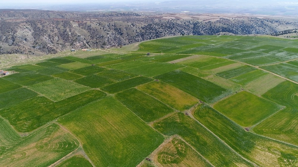 Nisan Karı Hububata Yaradı