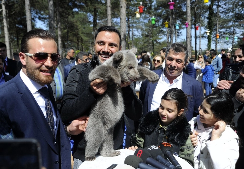 60 Türden 450 Adet Hayvan Macera Parkında