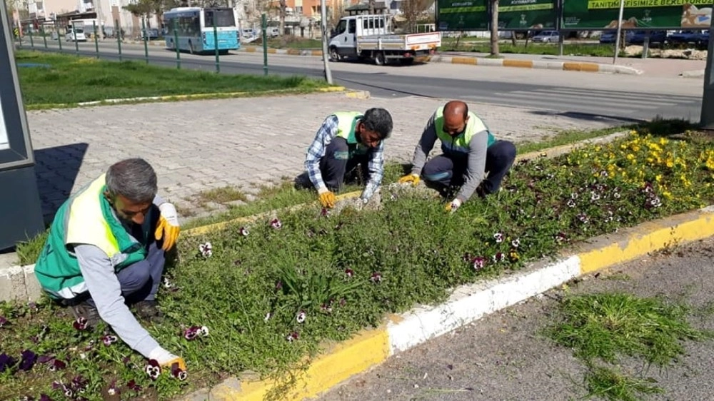 Adıyaman Belediyesinden Yabani Otlarla Mücadele