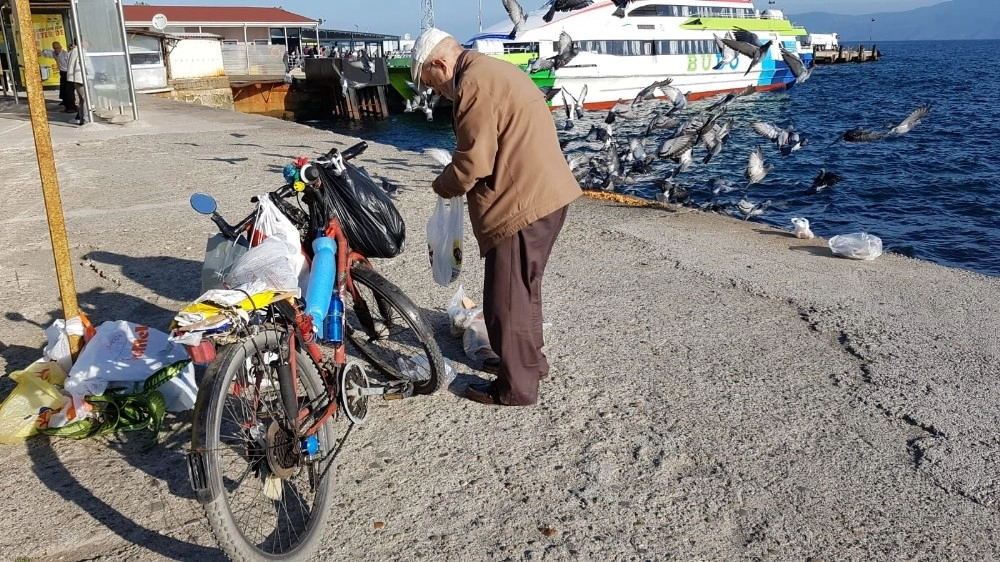 Bu İlçede Yaşayan Sokak Hayvanları Ve Kuşlar Onun Yolunu Gözlüyor