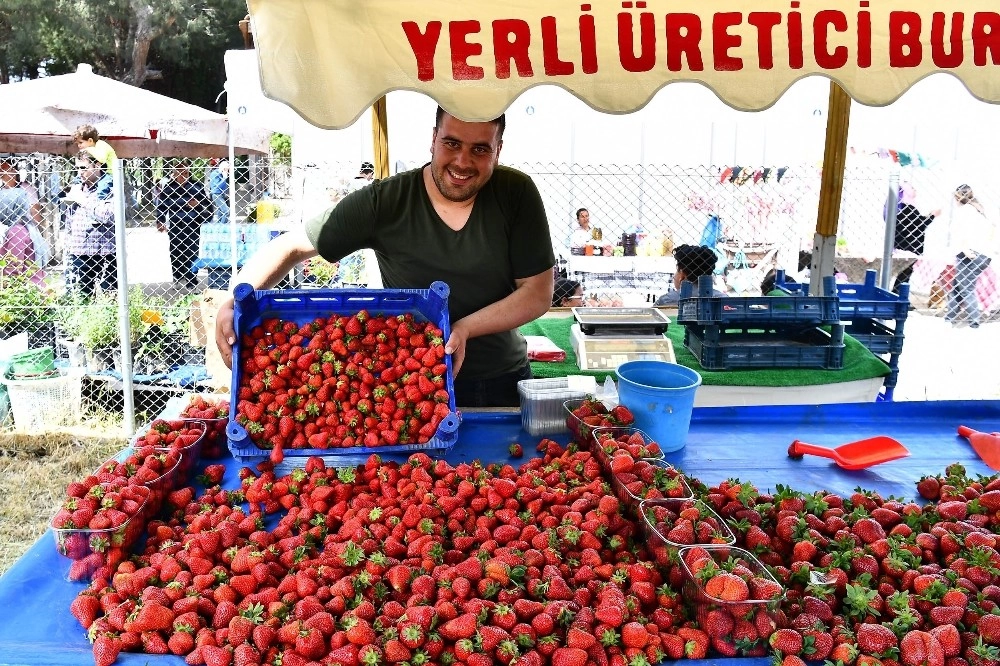 Emiralemi Çilek Kokusu Sardı